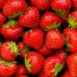 Icona del programma: Fruit Wallpaper