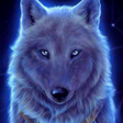 Иконка программы: Wolf Live Wallpaper 4K