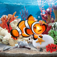 プログラムのアイコン：3D Aquarium Live Wallpape…