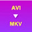 Icon of program: AVI to MKV Converter