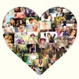Ikon program: Photo Shape Collage Maker…