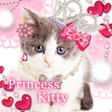プログラムのアイコン：Princess Kitty  wallpaper