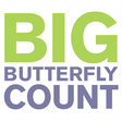 Big Butterfly Count