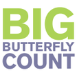 程序图标：Big Butterfly Count