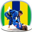 プログラムのアイコン：BJJ in brief