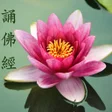 Ikona programu: Chanting Buddha