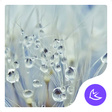 Icon of program: Grass in the rain-APUS La…