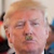程序图标：Trump To Hitler