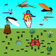 Bugs Clicker icon