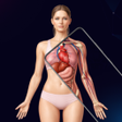 Programikonen: XrayOn: Body Scanner Simu…