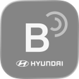 プログラムのアイコン：Hyundai Bluelink Europe