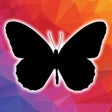 Icon of program: Learn shapes letters wor…