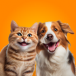 Prank Pet: Funny Pet World icon
