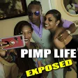 PIMP LIFE EXPOSED