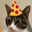 Icon of program: Wandering Cat