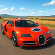 程序图标：Car Simulator Real