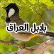 Icon of program: بلابل العراق