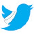 Fix Twitter Feed icon