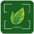 Ikona programu: Moringa Pro