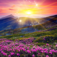 程序图标：Hidden Object - Summer Se…