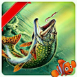 Icône du programme : fishing wallpaper