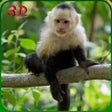 Programikonen: Monkey Simulator - Wild L…