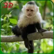 Monkey Simulator - Wild Life
