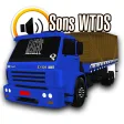 Sons World Truck Simulator