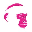 Programın simgesi: Monkey Market