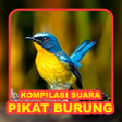 Ikon program: Suara Burung: Pikat & Mas…