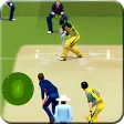 Play IPL Cricket Game 2018