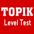 プログラムのアイコン：Topik Level Test