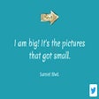 Icon of program: Words Worth Quotes