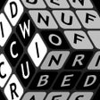 Icon of program: Word Cubed 3D
