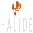 Icon of program: Halide