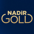 程序图标：NadirGold