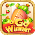 Ícone do programa: Go Winner