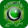 Pakistani Milli Naghmy 14 August National Songs