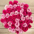Иконка программы: Florescence