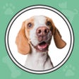 Иконка программы: Dog Whistle  Puppy Traini…