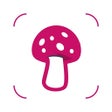 プログラムのアイコン：Mushroom Identifier - Fun…