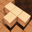 프로그램 아이콘: Wood Block Puzzle - Class…