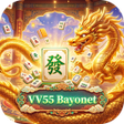 Icona del programma: VV55Bayonet