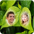 プログラムのアイコン：Leaf Dual Photo Frame