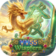 程序图标：VV55Wispfern