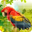 Tile Puzzle: beautiful birds