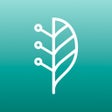 Symbol des Programms: Lindera Mobilitätsanalyse