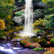 Icon of program: 3D Autumn Waterfall Wallp…