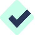 程序图标：Revise Chrome Extension