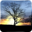 程序图标：Silhouette Live Wallpaper